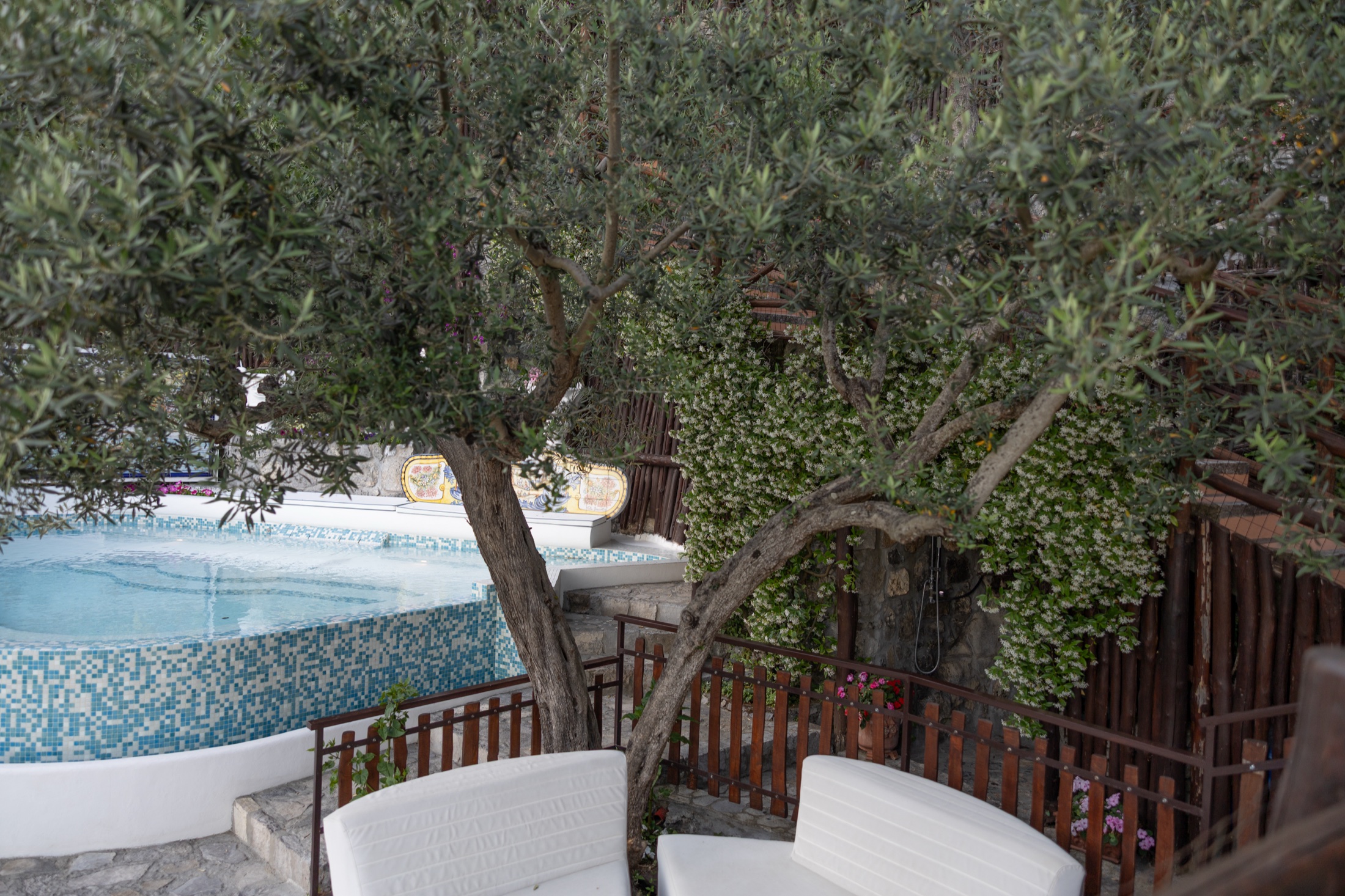 Villa Graziella's pool among olive trees and flowers