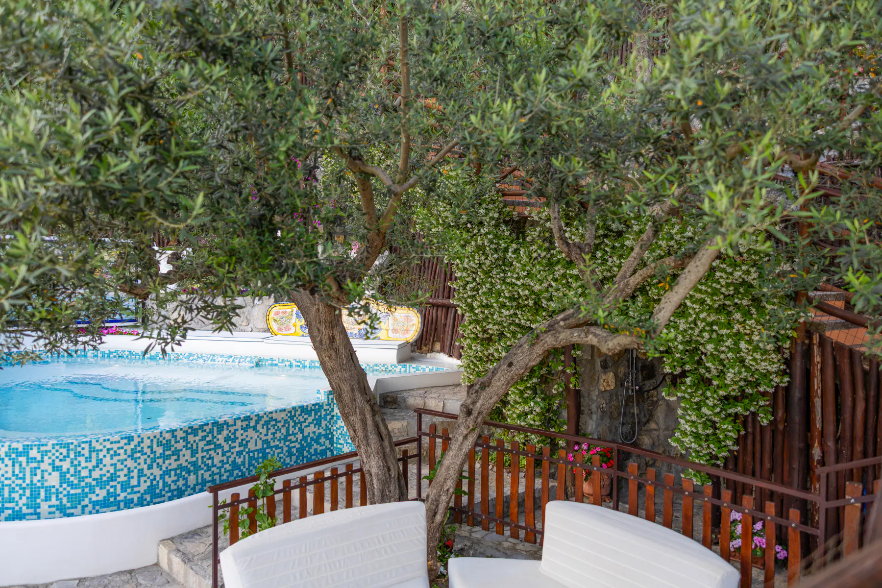 La piscina di Villa Graziella all'ombra dell'ulivo