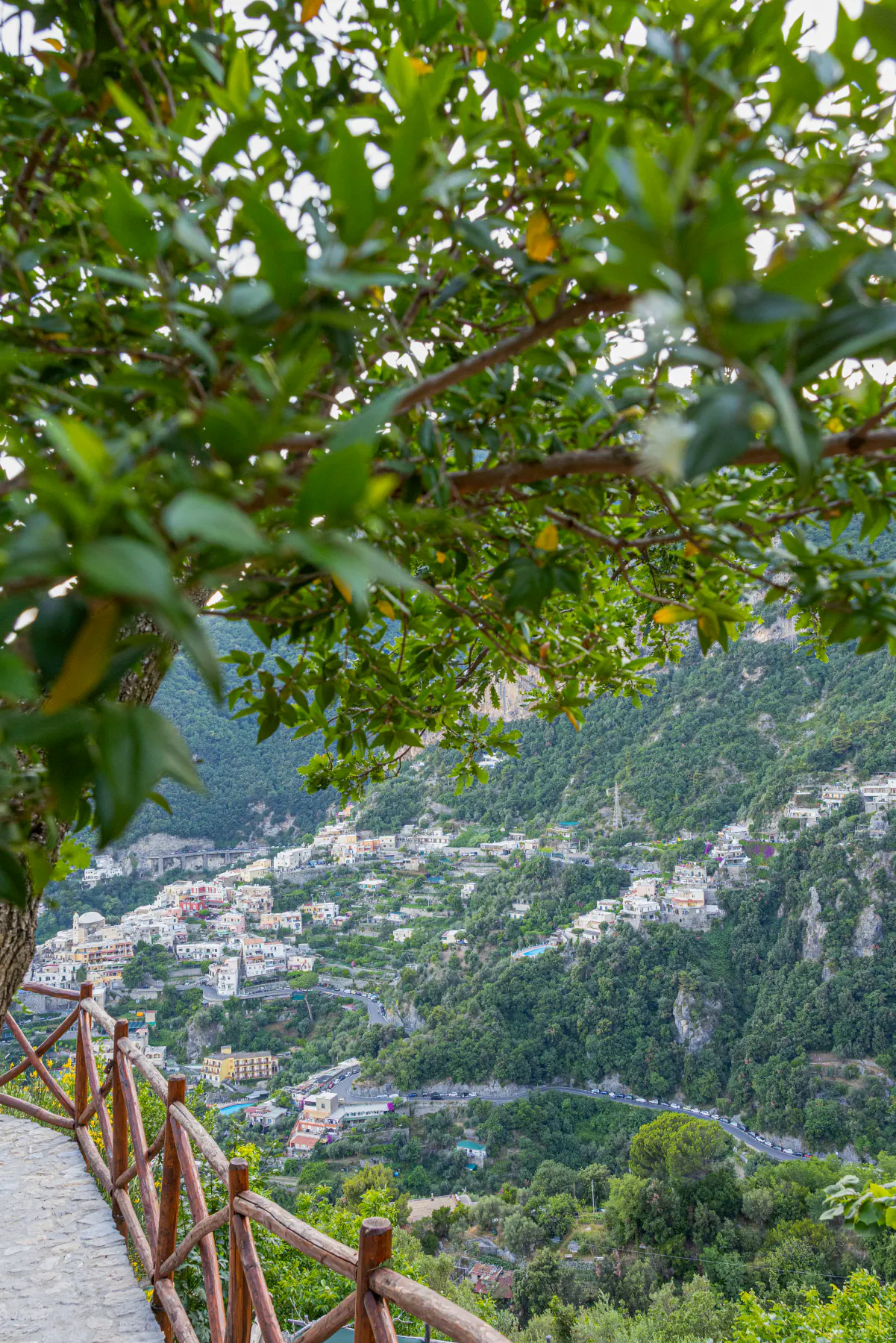 Positano vista dalla villa, tra gli alberi del giardino